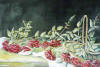 Titolo: Rose , Ref. TC 6009
